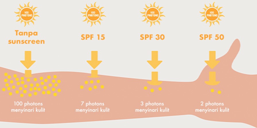 Cara Kerja Sunscreen untuk Kulit dan Perlindungan Maksimal