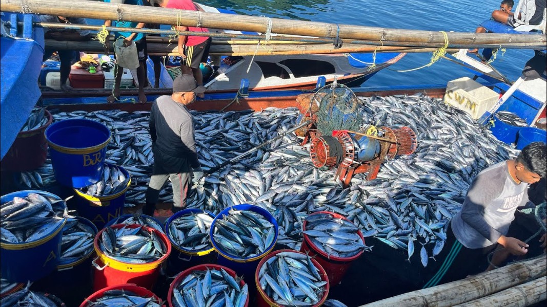 Kampung Nelayan Merah Putih Hadirkan Fasilitas Lengkap Bagi Nelayan Kalteng