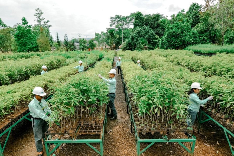 MIND ID Raih Tiga Subroto Award, Bukti Komitmen Berkelanjutan