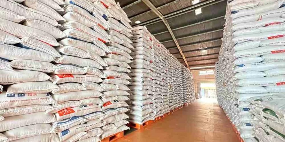 Bulog Serap Gabah Petani Lokal, Jaga Harga Tetap Stabil