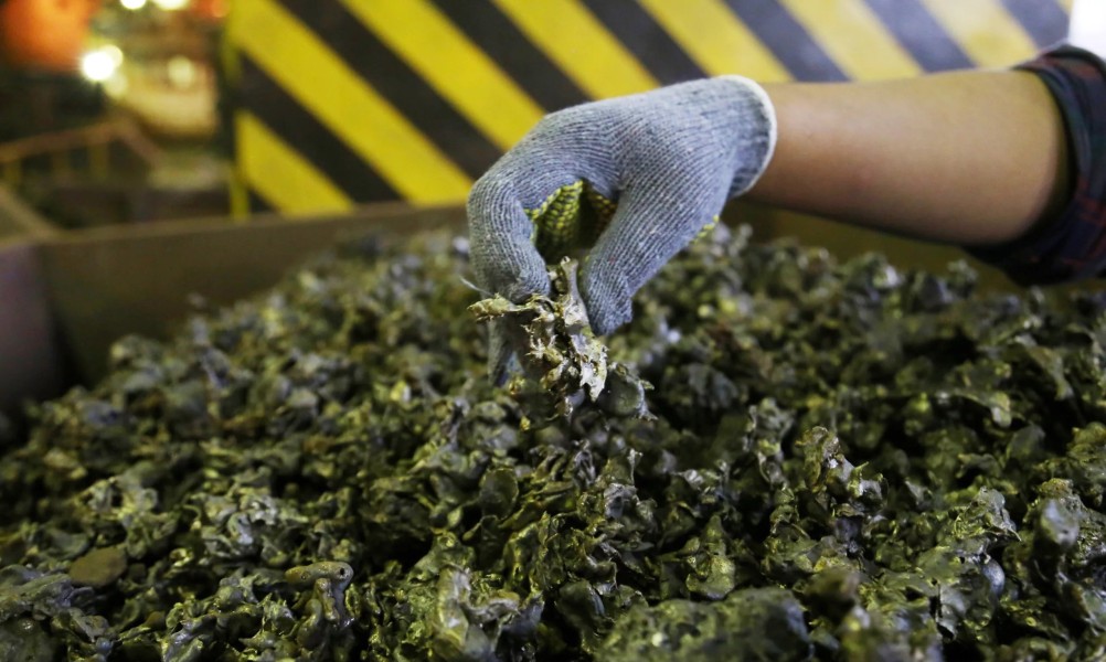 Kenaikan Harga Nikel Dorong Optimisme Industri Pertambangan Nasional