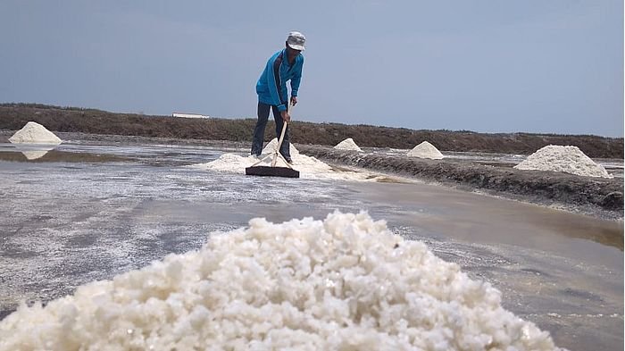 Sinergi DPD Tani Merdeka dengan Petani Garam Pidie Tingkatkan Produksi dan Kesejahteraan