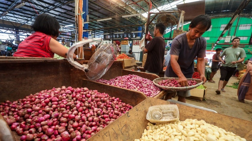 Harga Pangan Nasional Turun Signifikan, Bawang, Telur, Minyak Murah