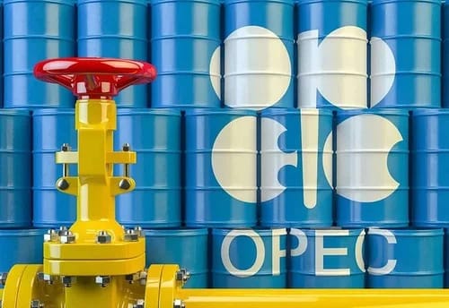 Harga Minyak Dunia Naik Usai Keputusan Produksi OPEC+