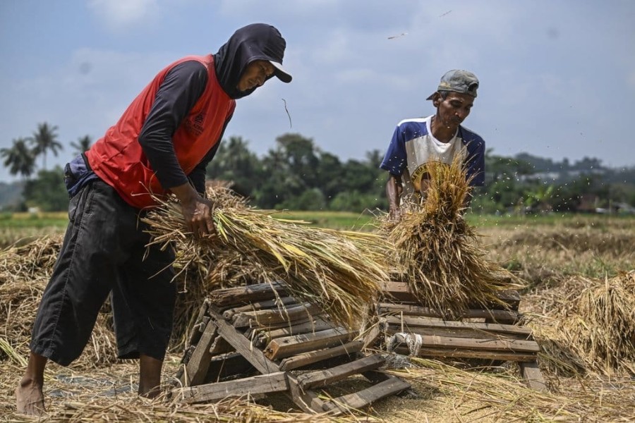 Bupati Gunungkidul Dorong Modernisasi Pertanian Guna Perkuat Hasil Panen