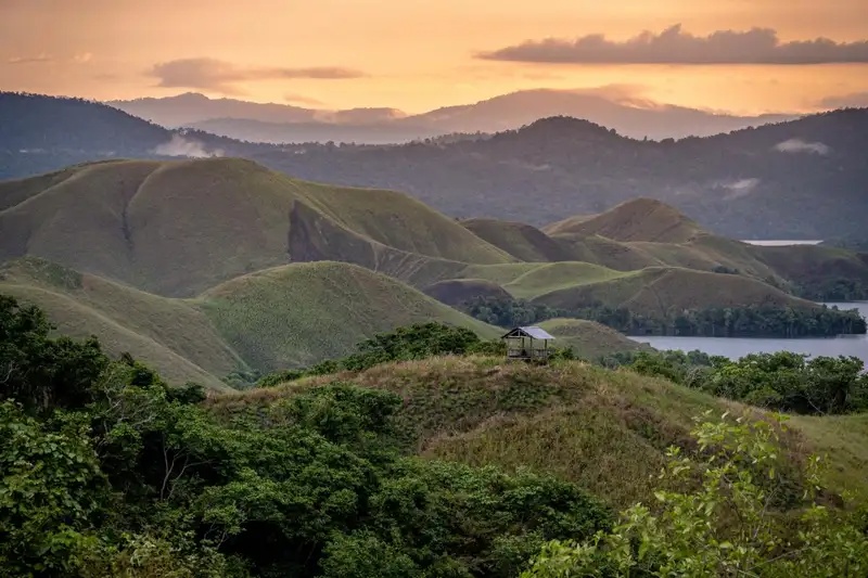 Jelajahi 10 Bukit Papua untuk Wisata Alam Tak Terlupakan