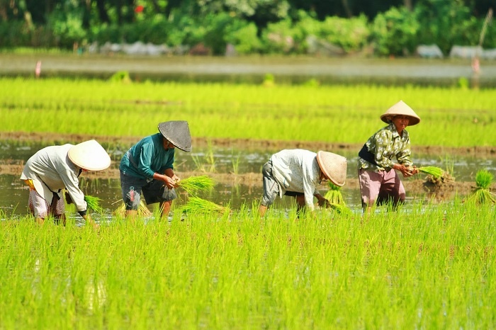 Solusi Ramah Lingkungan untuk Petani Desa Mekarsakti