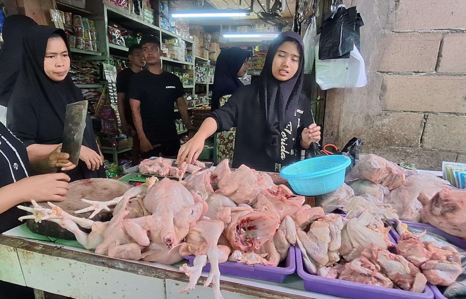MBG Bantu Stabilkan Harga Ayam dan Pasokan Pangan