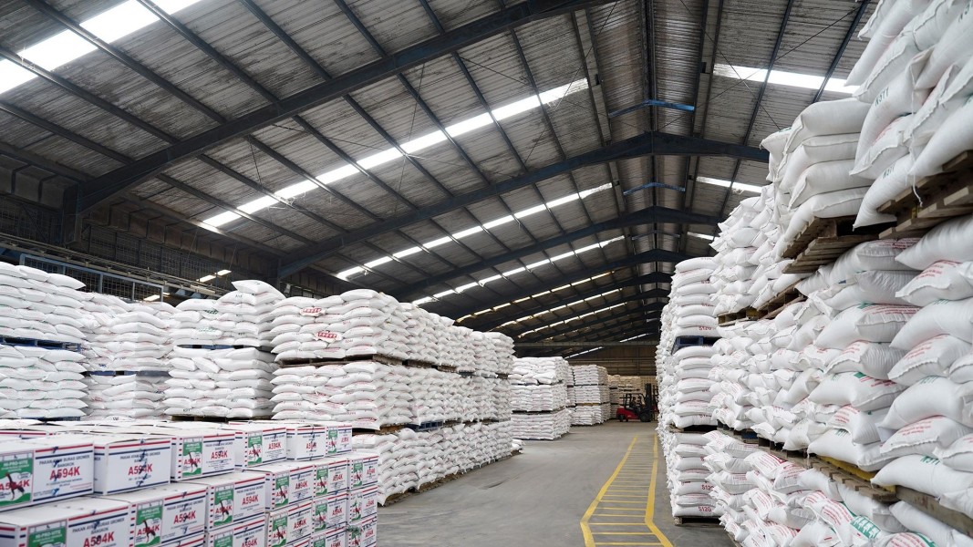 Lampung Selatan Bakal Miliki Pabrik Pakan Ayam Terbesar di Sumatera