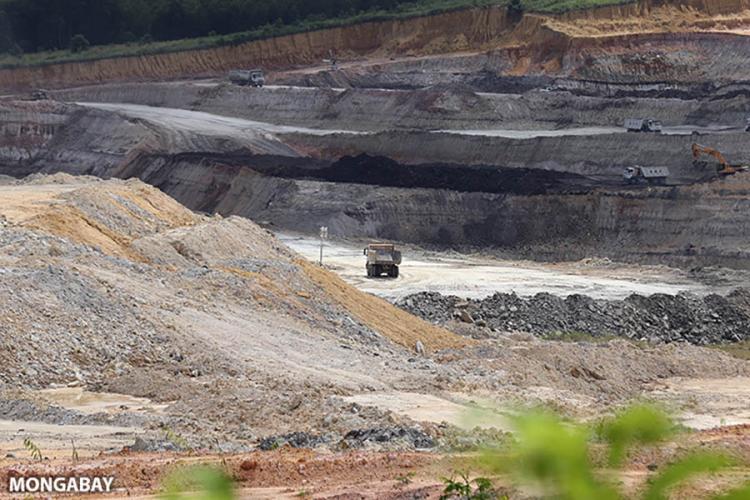 Penurunan Tarif Asuransi Pertambangan di Asia: Dampak dari Regulasi dan Risiko