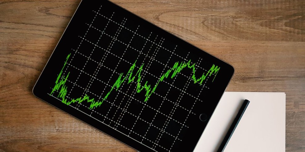 10 Cara Investasi di Bibit agar Mendapatkan Untung
