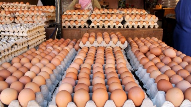 Harga Sembako Terbaru di Jatim: Ayam Kampung dan Telur Berubah Signifikan