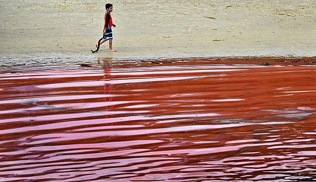 Penjelasan Ilmiah di Balik Peristiwa Laut Merah
