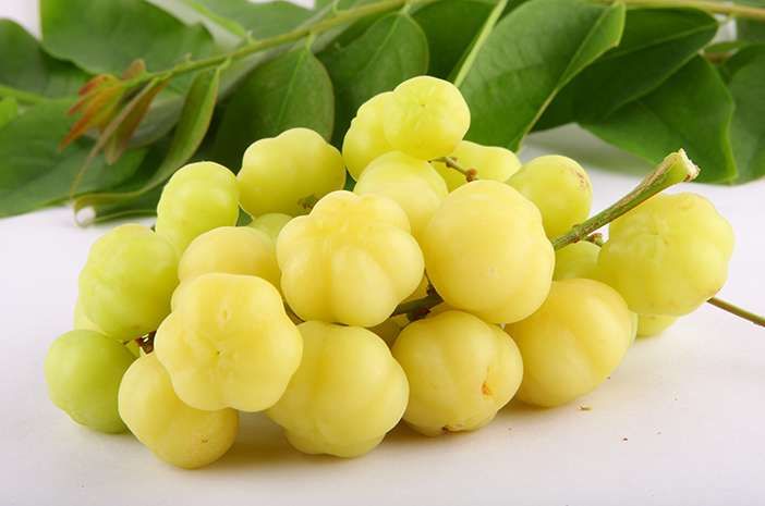 Buah Cermai Asam Menyegarkan dengan Banyak Khasiat Kesehatan yang Jarang Diketahui Orang