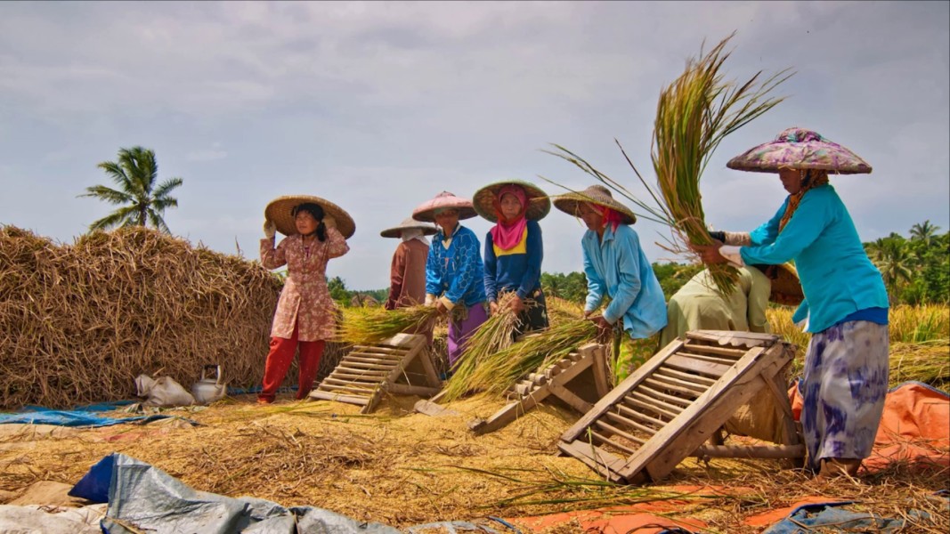 Bulog Waikabubak Siap Serap Hasil Panen Petani, Fokus pada Ketahanan Pangan