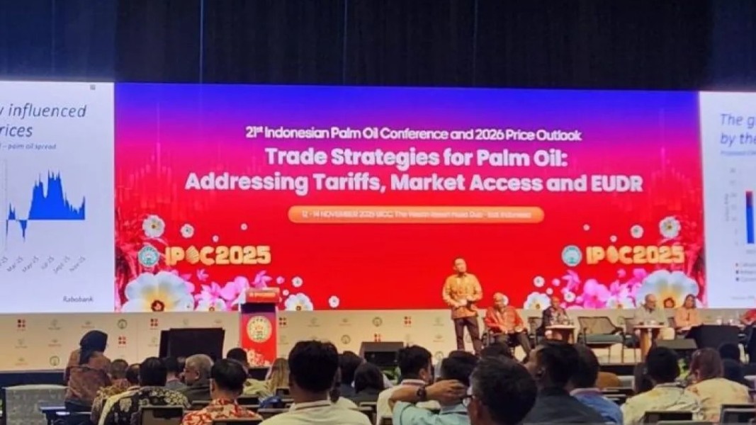 Diplomasi Sawit Indonesia Menguat Saat Wamenlu Soroti Standar Keberlanjutan Global