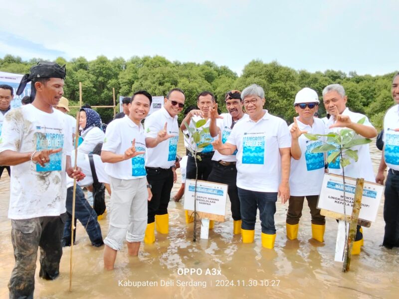 Menteri Lingkungan Hidup dan PT. Freeport Indonesia Adakan Aksi Tanam Mangrove di Deli Serdang