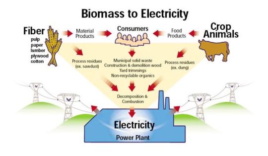 PLN EPI Percepat Pemanfaatan Biomassa sebagai Energi Listrik Ramah Lingkungan, Target 10 Juta Ton per Tahun di 2030