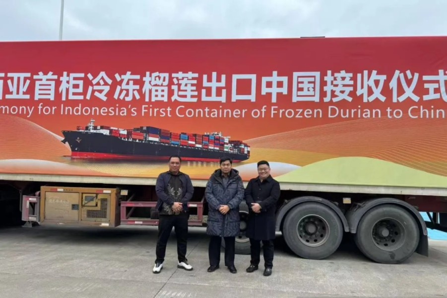Durian Beku Indonesia Resmi Masuk Pasar China Perkuat Ekspor Pertanian Nasional
