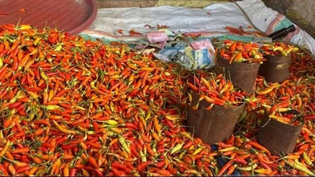 Update Harga Pangan Nasional April 2026: Cabai, Daging, Minyak, Telur Stabil