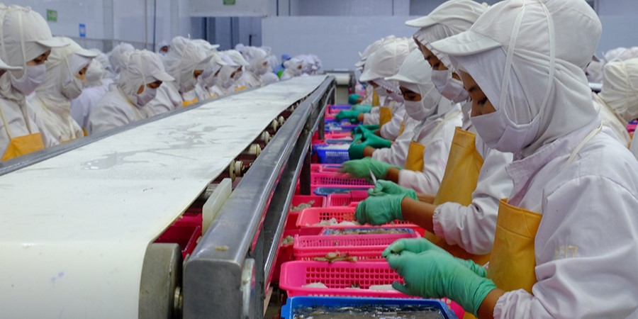 Industri Pengolahan Jadi Penopang Utama Pertumbuhan Ekonomi Nasional