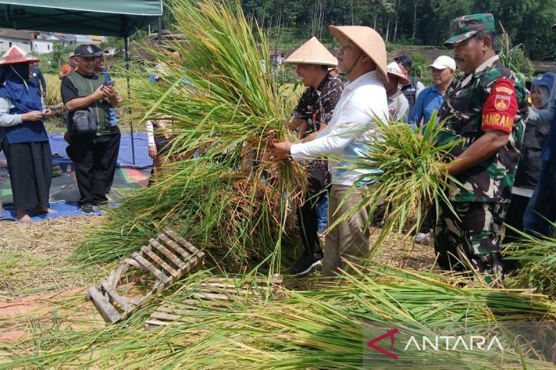 Pergantian Kepemimpinan di Bulog Diharapkan Tingkatkan Kesejahteraan Petani dan Ketahanan Pangan