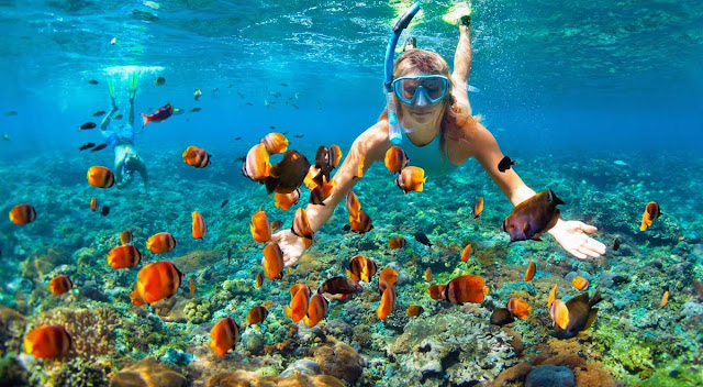 Menikmati Keindahan Lombok: 5 Destinasi Wisata yang Wajib Dikunjungi
