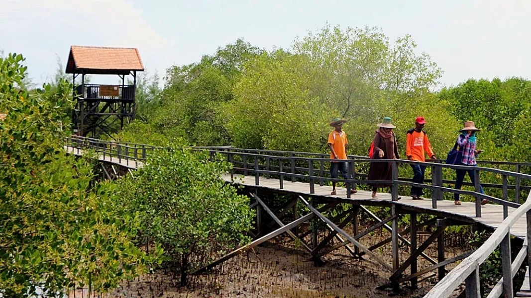 Wisata Mangrove Labuhan Bangkalan Jadi Contoh Nyata Energi Hijau di Madura