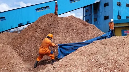 PLN Genjot Biomassa Gantikan Batu Bara di PLTU