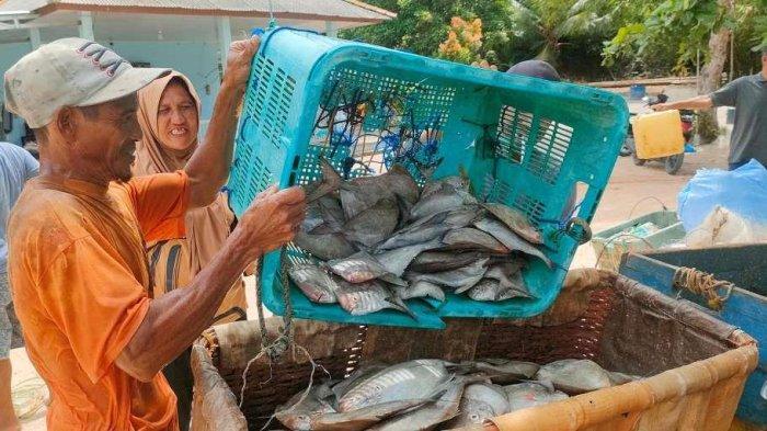 Mengungkap Potensi Perikanan dan Pertambangan di Bangka Belitung: Dua Sektor Unggulan yang Menjanjikan