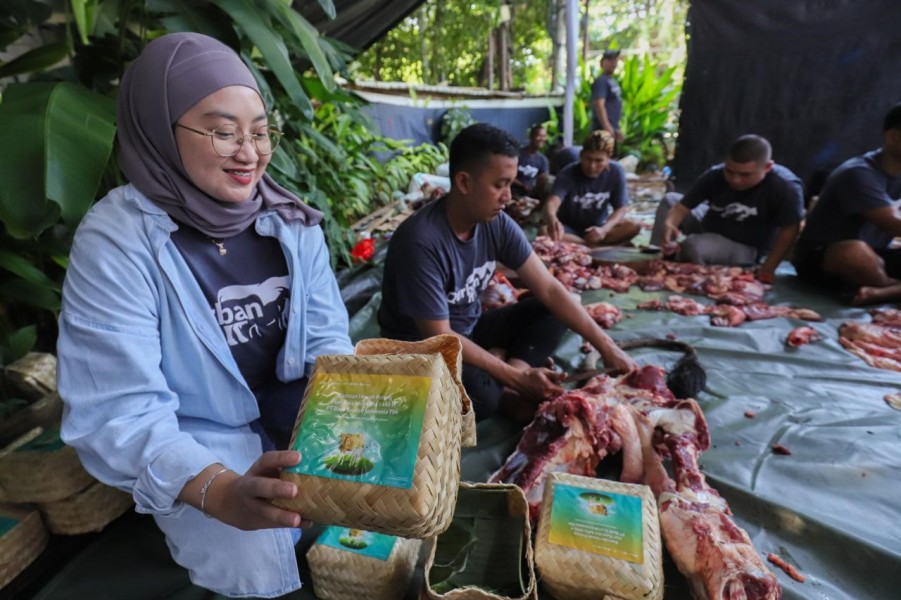PT Bank Syariah Indonesia Catat Lonjakan 144 Persen Distribusi Hewan Kurban Iduladha 1446 H, Capai 15.272 Ekor untuk Masyarakat Dhuafa