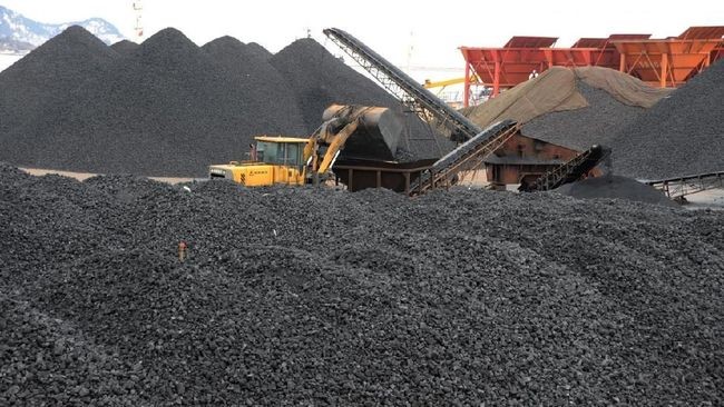 Peranan Industri Batu Bara dalam Daftar Orang Terkaya Indonesia