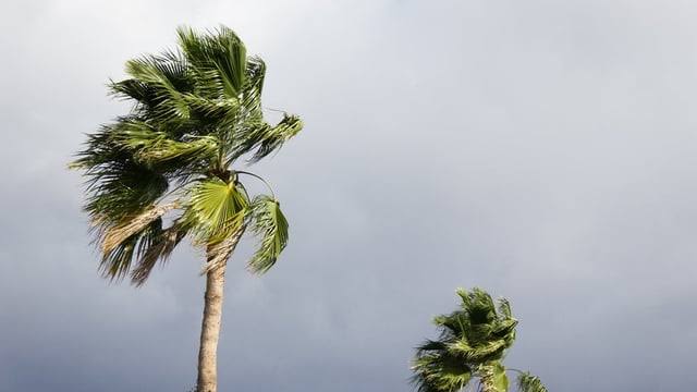 BMKG: Waspadai Angin Kencang di Maluku Utara