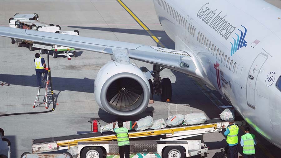 Garuda Indonesia Ditunjuk Jadi Induk Holding BUMN Penerbangan Nasional