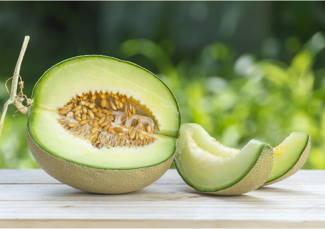 Kajian Ilmiah Kandungan Nutrisi dan 10 Manfaat Buah Melon bagi Kesehatan