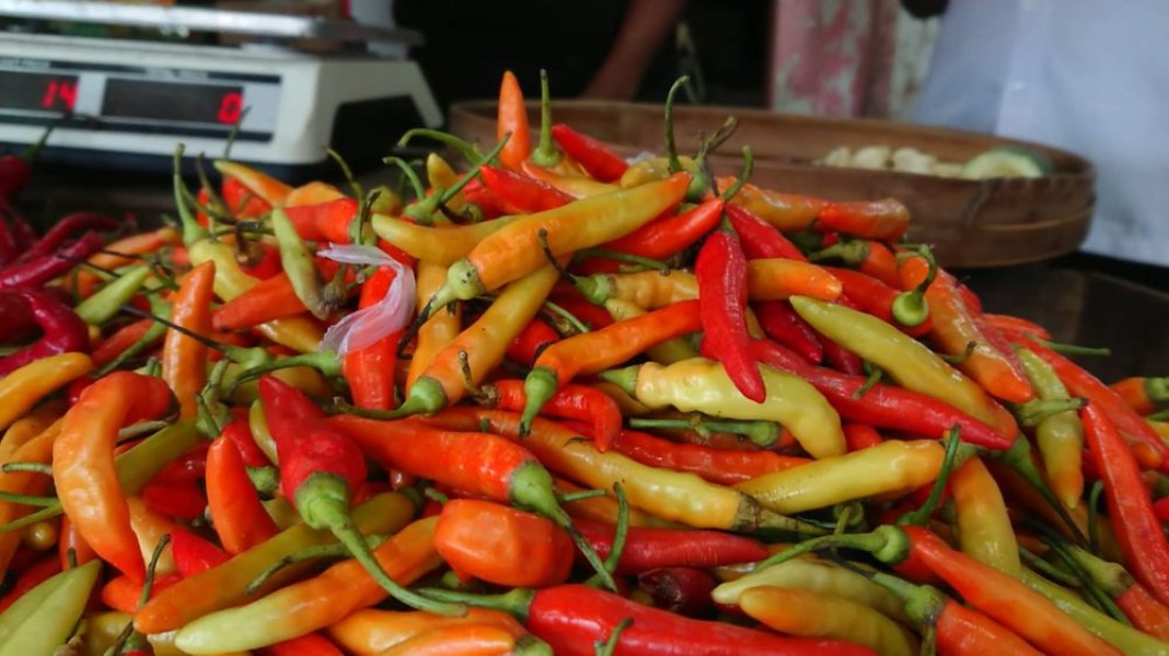 Harga Sembako Jawa Timur Naik-Turun, Daging dan Cabai Rawit Tunjukkan Kenaikan Signifikan 8 Mei 2025
