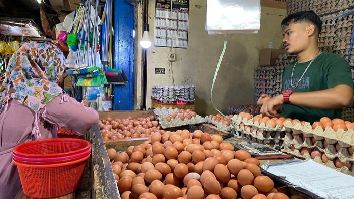 Mentan Pastikan Stok Telur Tetap Aman Dukung Program MBG Nasional