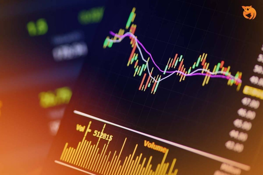 Apa Itu Analisa Saham: Jenis, Cara, dan Aplikasi Terbaiknya