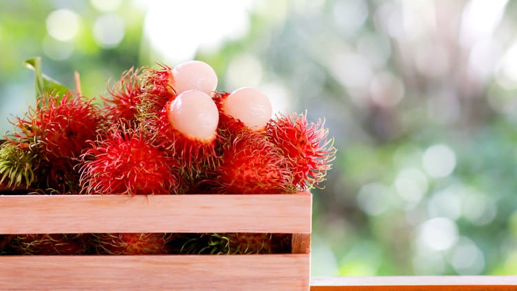 Rambutan Manis Bergizi, Tetapi 6 Kelompok Orang Harus Menghindari Konsumsi
