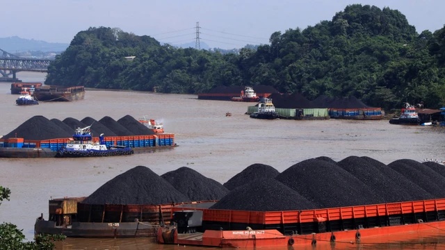 Mengapa Indonesia Belum Jadi Raja Batu Bara Asia Meski Produksi Melimpah