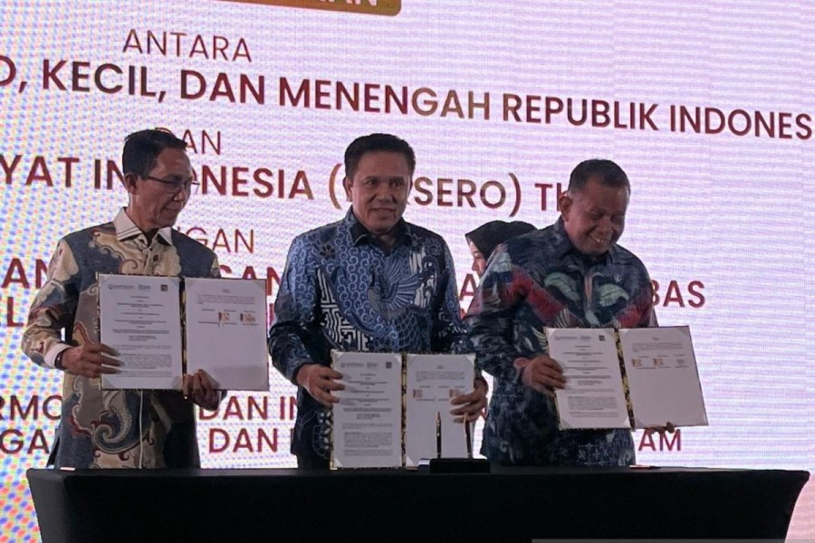 Sinergi BRI dan Pemerintah Perkuat Investasi Serta Modernisasi UMKM di Batam