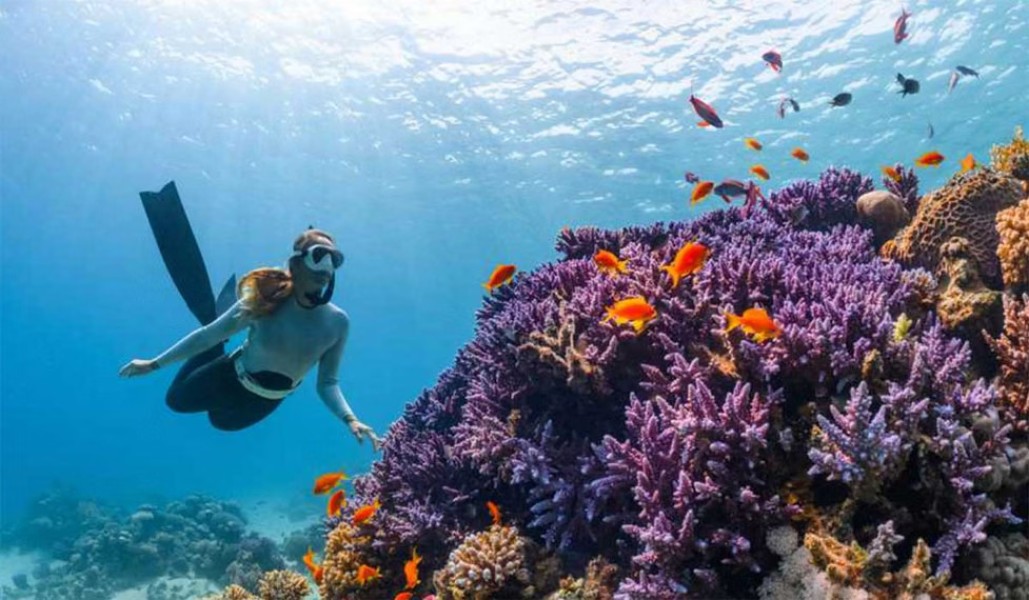 Bunaken: Surga Bawah Laut Sulawesi Utara Bunaken: Surga Bawah Laut Sulawesi Utara