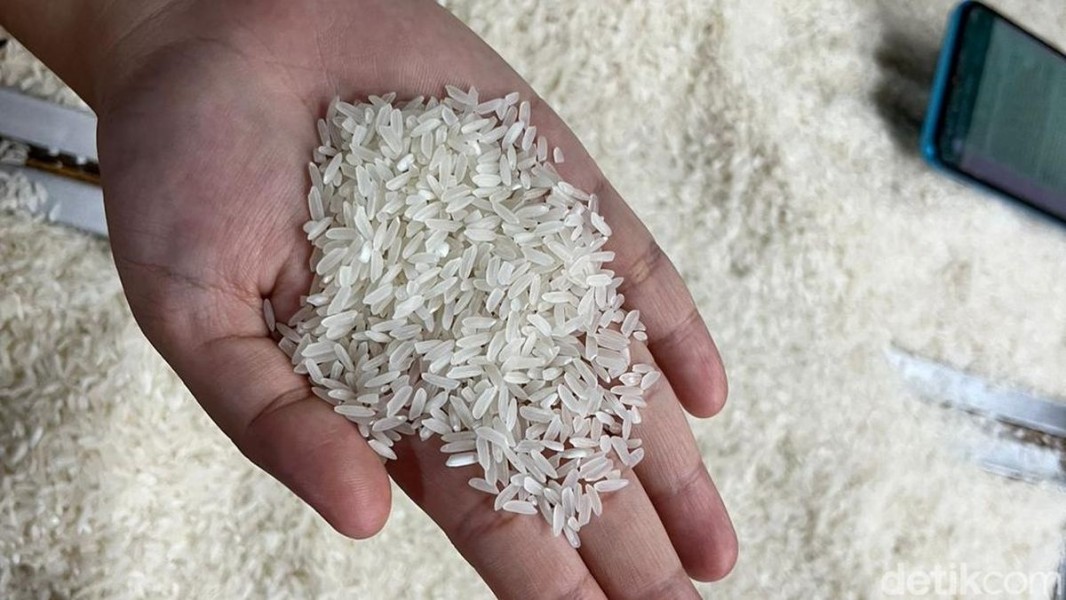 Stabilitas Harga Beras Nasional Membaik, Zona 3 Masih Tertekan