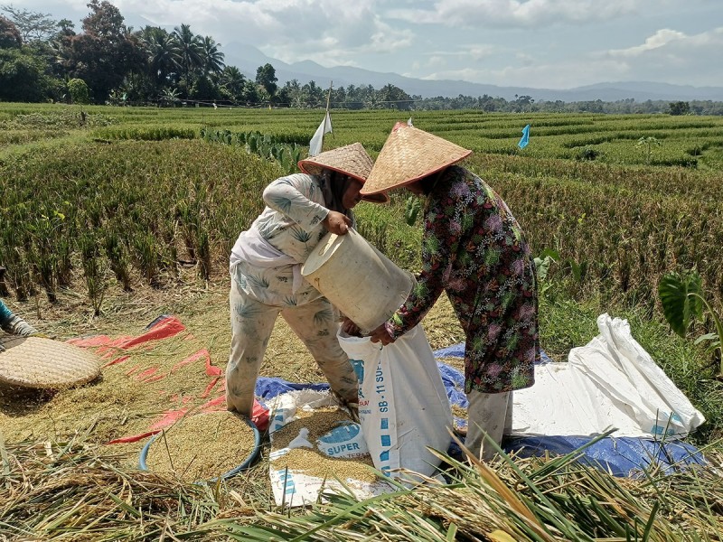 Kemenhub Siapkan Layanan On Call Dukung Distribusi Hasil Panen