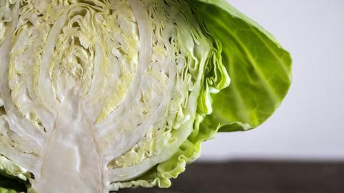 7 Cara Efektif Menjaga Kubis Tetap Segar Berhari-Hari