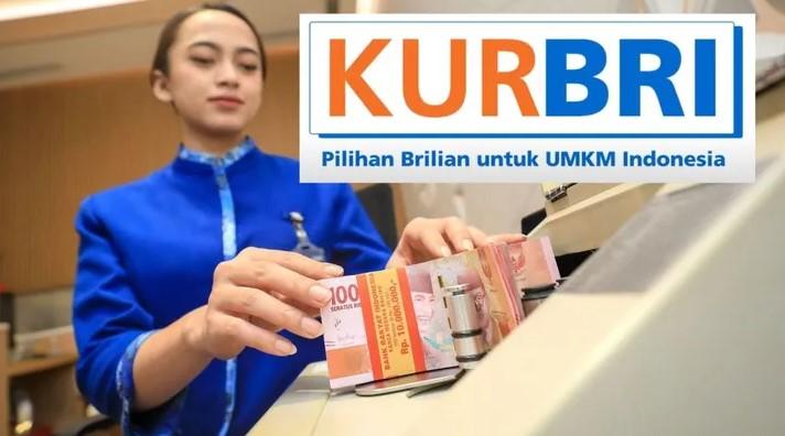 KUR BRI 2025: Modal UMKM Ringan dan Mudah Diajuin
