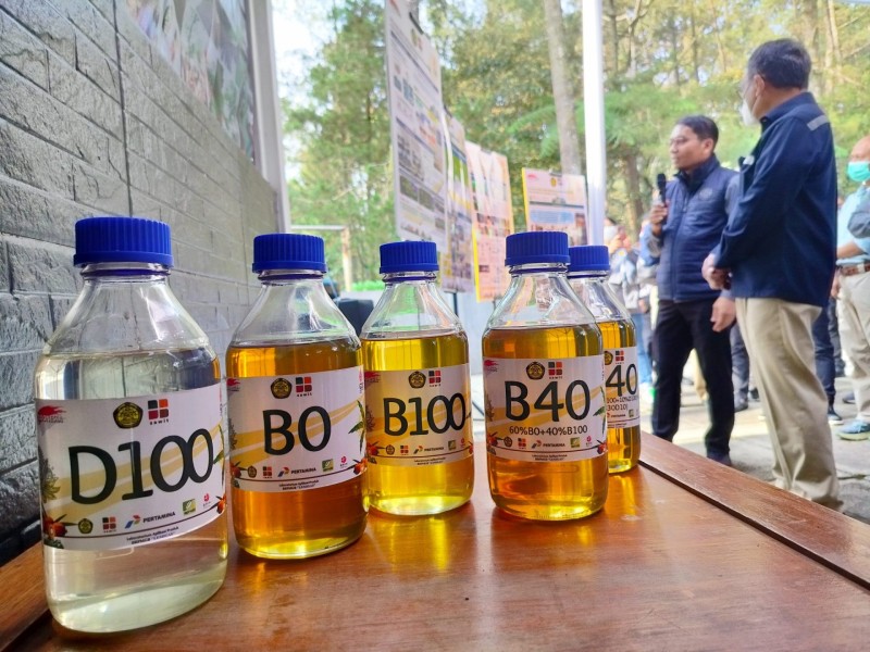 Kementerian ESDM Tetapkan Harga Biofuel Baru