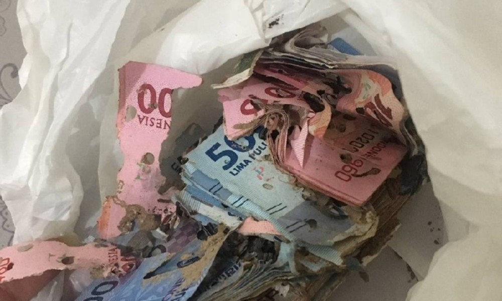 Panduan Lengkap Penukaran Uang Rusak di Bank Indonesia