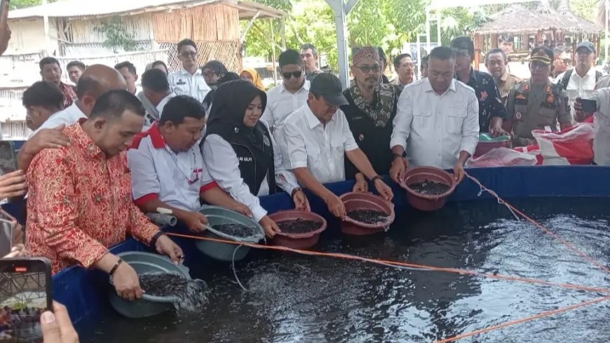 KKP Tingkatkan Produksi Desa Lewat Budidaya Ikan Perikanan Bioflok Modern