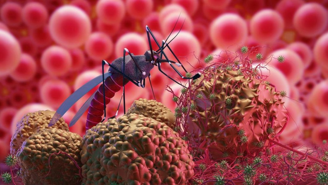 Dengue Tetap Jadi Masalah Kesehatan Dominan di Indonesia Selama Puluhan Tahun